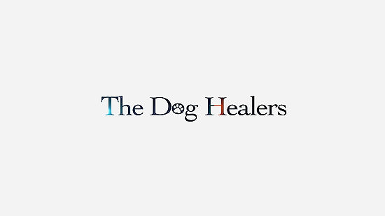 The Dog Healers